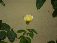 a3379fcd-Picture 362.jpg